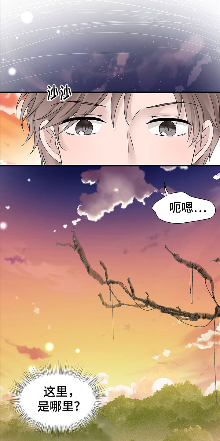 无价之宝三叔最后死了没漫画,第17章：看日出1图