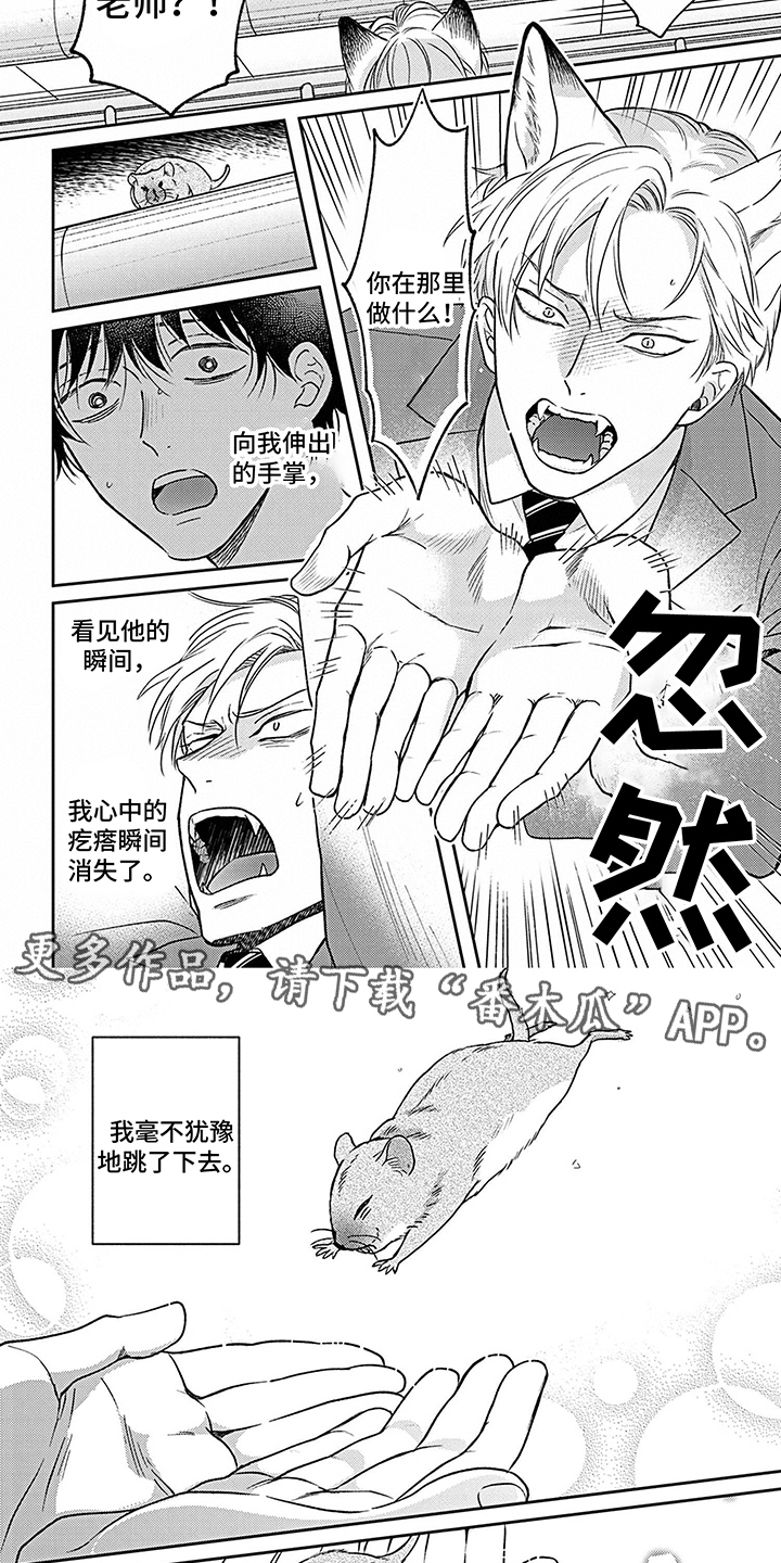 欧米茄也能撩到你腿软漫画,第17章：真心话2图