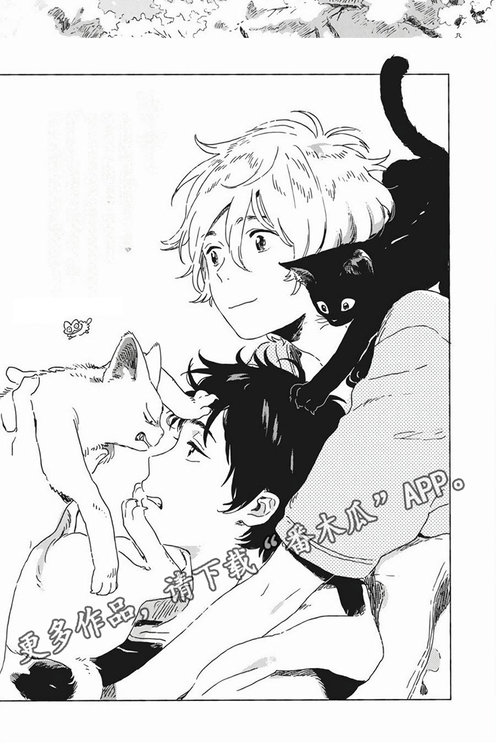 雪中的你好美漫画,第26章：答案【完结】1图