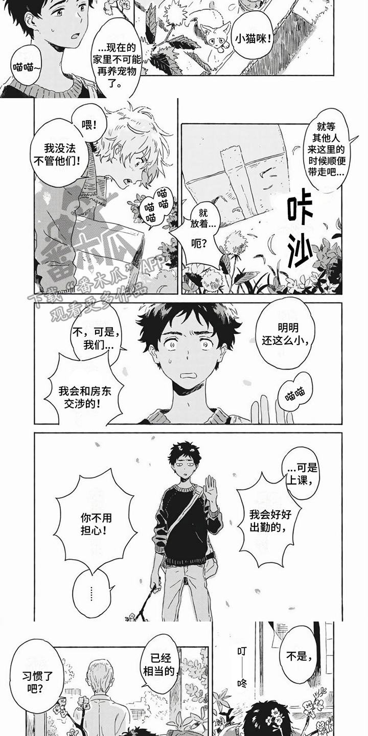 雪中的你好美漫画,第19章：养猫1图