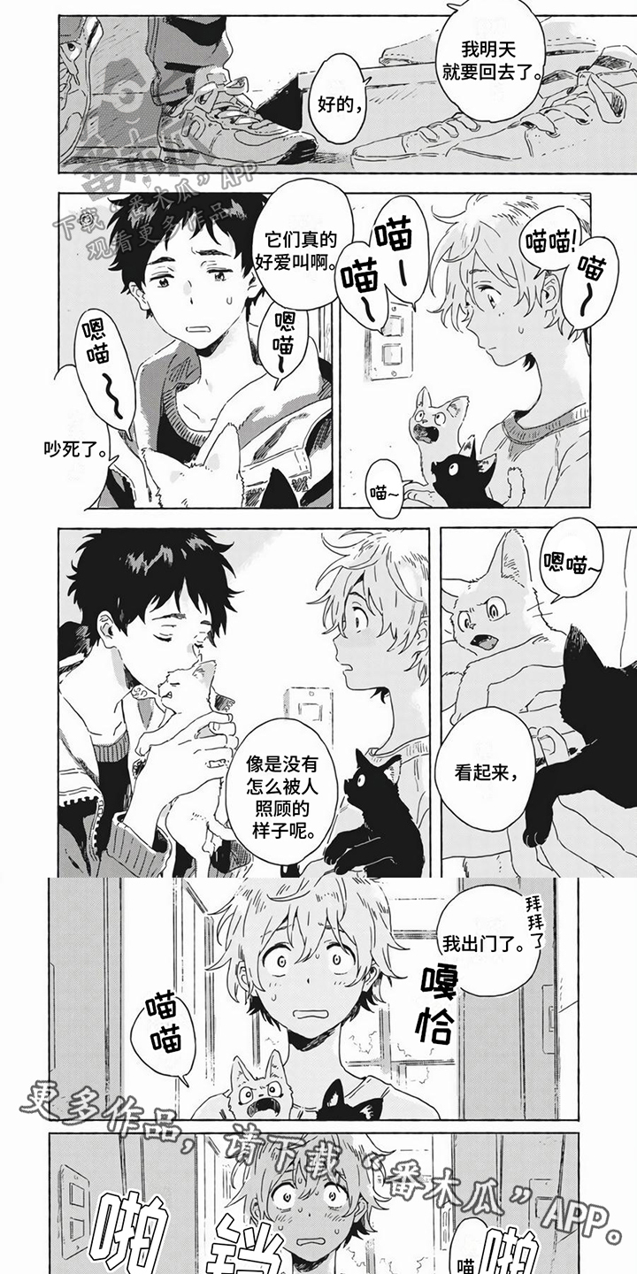 雪中的你好美漫画,第19章：养猫2图
