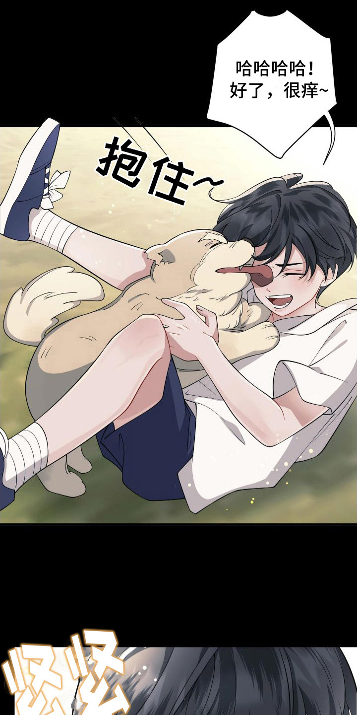 危险作业罪漫画,第6章：都是幻象1图