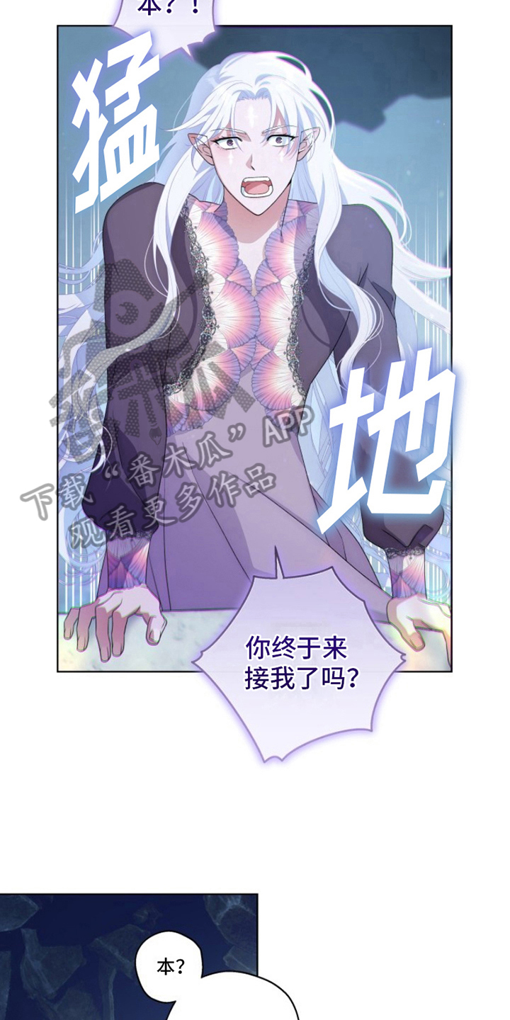 热情直爽漫画,第24章：最美丽的宝物：冒险1图