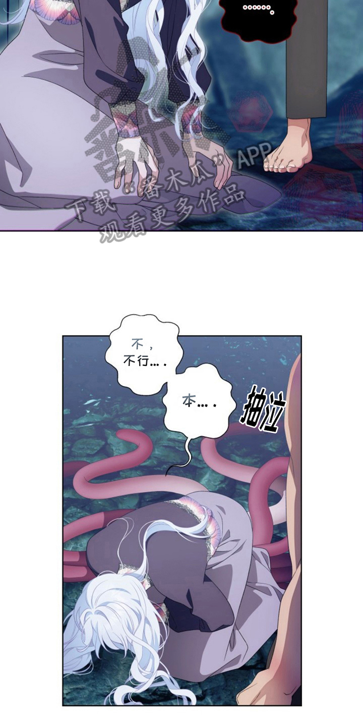 热情之夏2漫画,第27章：最美丽的宝物：委托1图