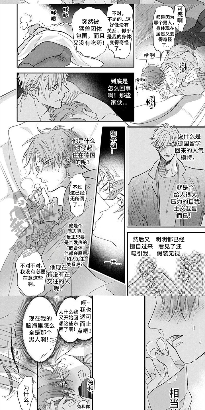 狮子和兔子在一起什么意思漫画,第6话2图