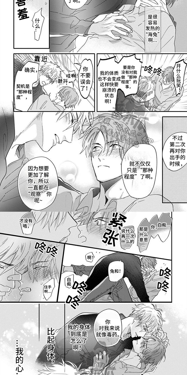 狮子和兔子是什么意思漫画,第6话1图