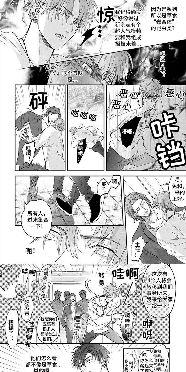 兔子与狮子漫画,第2章：认出来了1图
