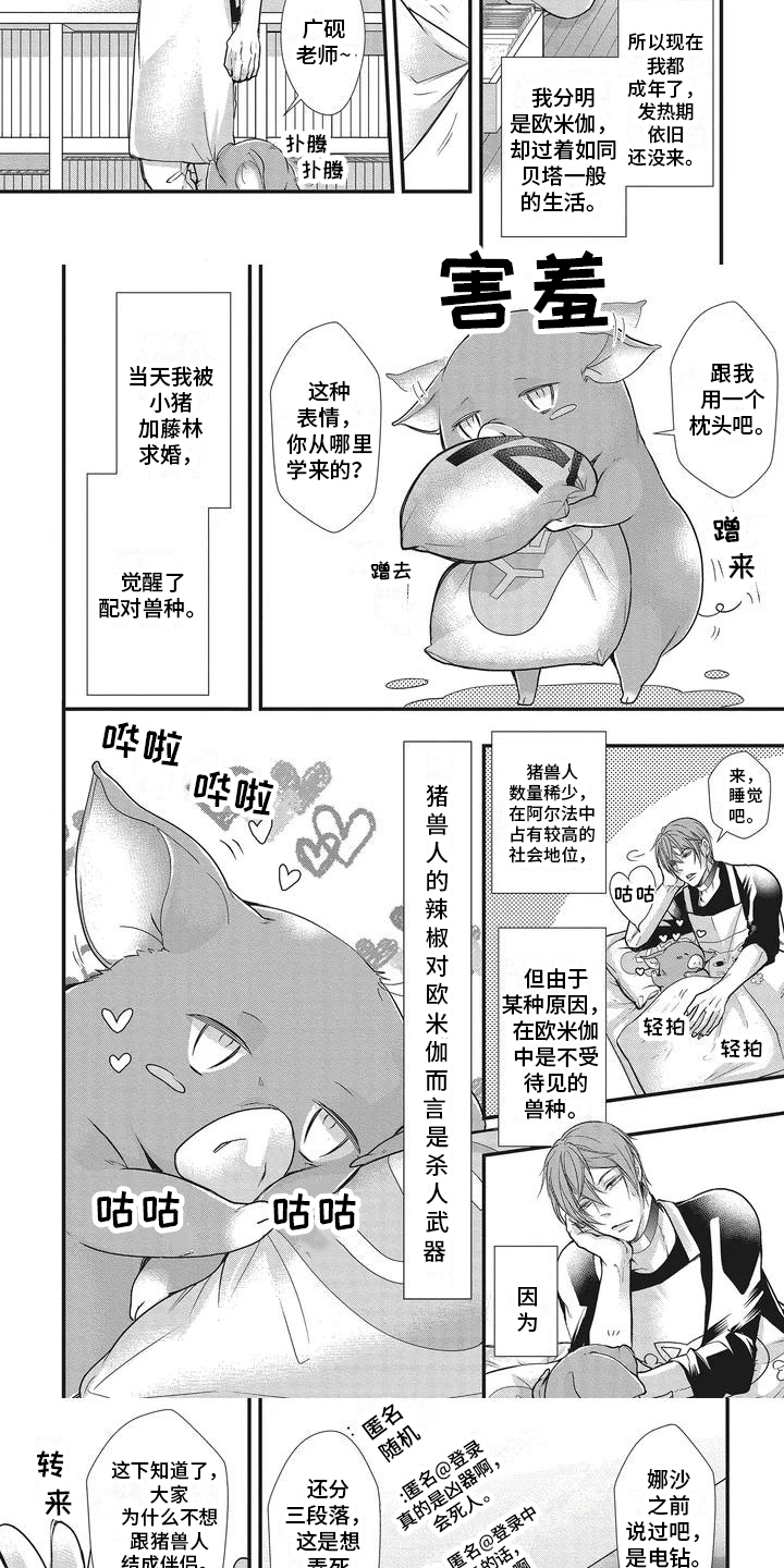 猪猪阿尔法漫画,第1章：兽人幼稚园1图