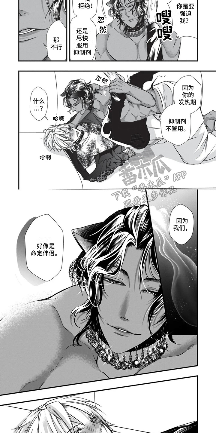 阿尔法猪虚拟商城漫画,第20章：命定伴侣1图