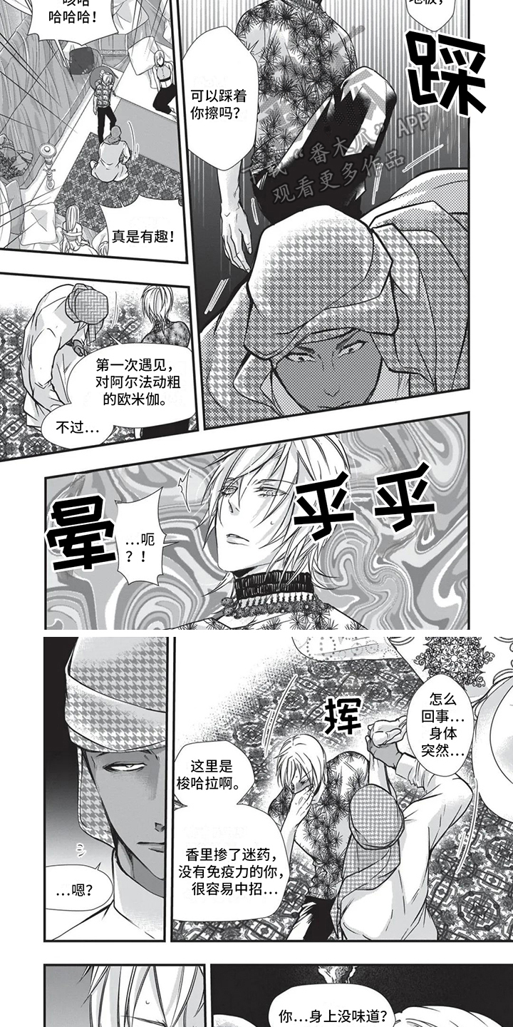 猪猪飞飞飞小游戏漫画,第24章：下马威2图