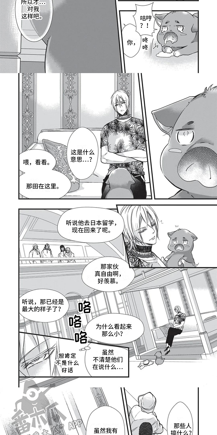 猪猪阿飞漫画,第23章：讨厌斗争1图