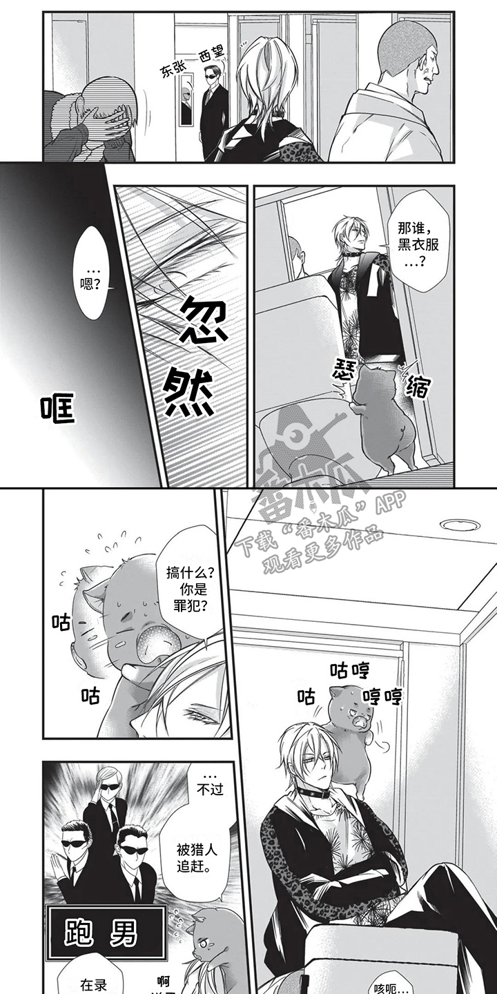 猪猪侠之百变联盟漫画,第19章：异国风情1图