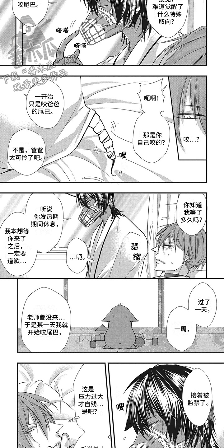 阿法猪吧漫画,第5章：被撞倒2图