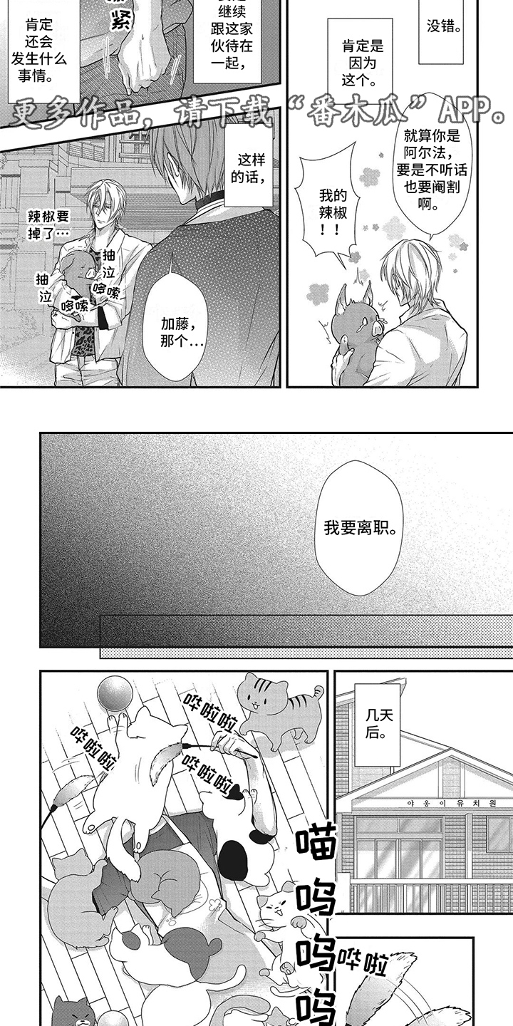 阿尔法猪app下载漫画,第4话1图