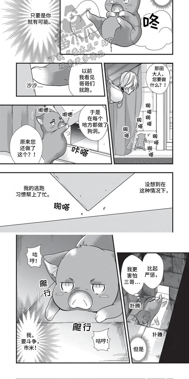 猪猪阿尔法漫画,第25章：狗洞2图