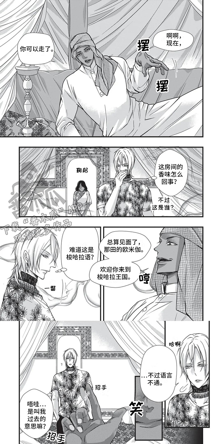 阿尔法猪虚拟商城漫画,第24章：下马威1图