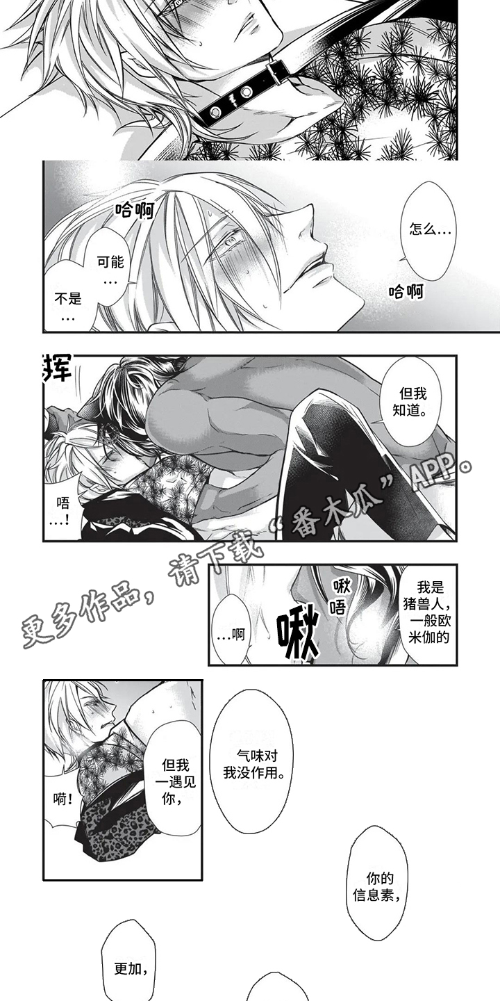 猪猪阿尔法漫画,第20话2图