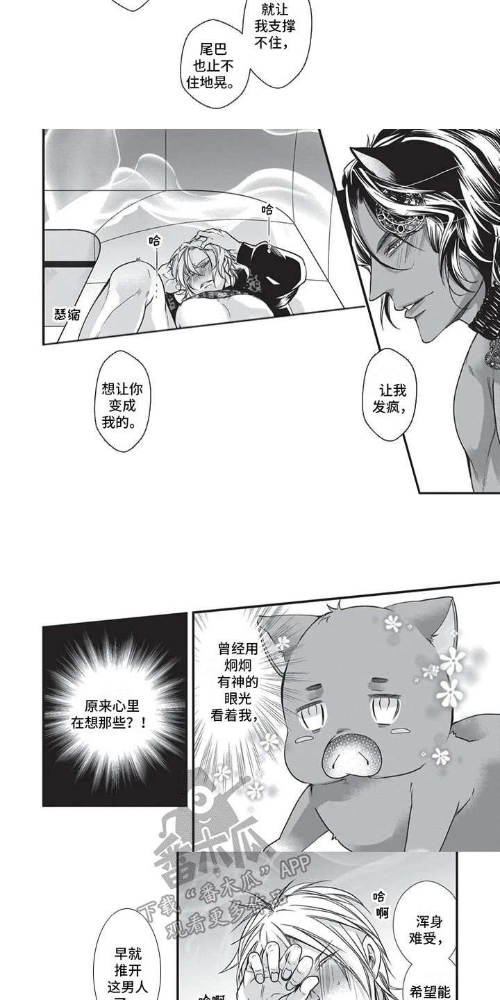 猪猪阿尔法漫画,第20章：命定伴侣1图