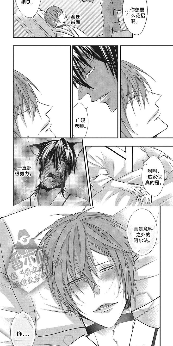 猪猪阿尔法漫画,第7章：痴情1图