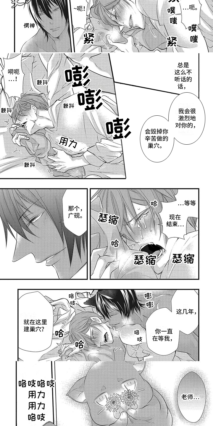 猪猪阿呆的视频漫画,第15章：巢穴1图