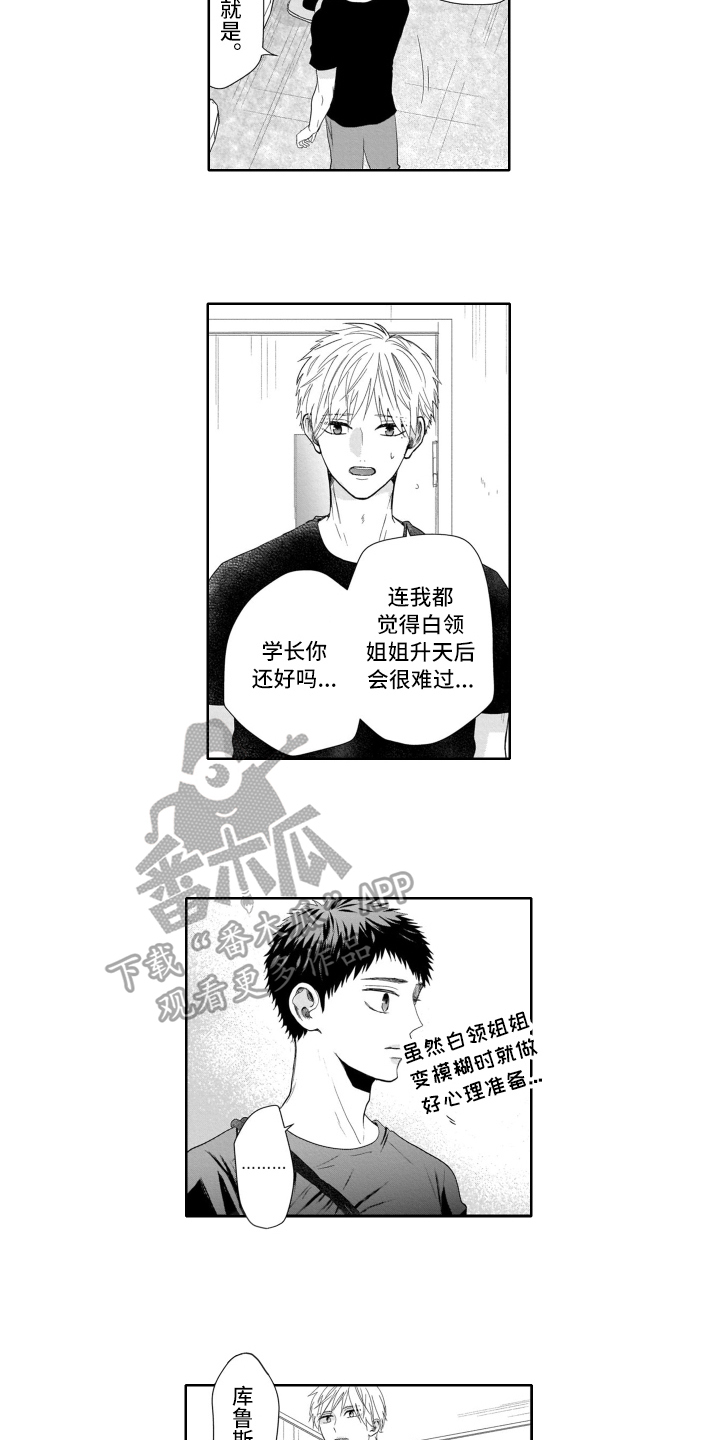 幽灵娃娃魔术揭秘漫画,第18章：决定2图