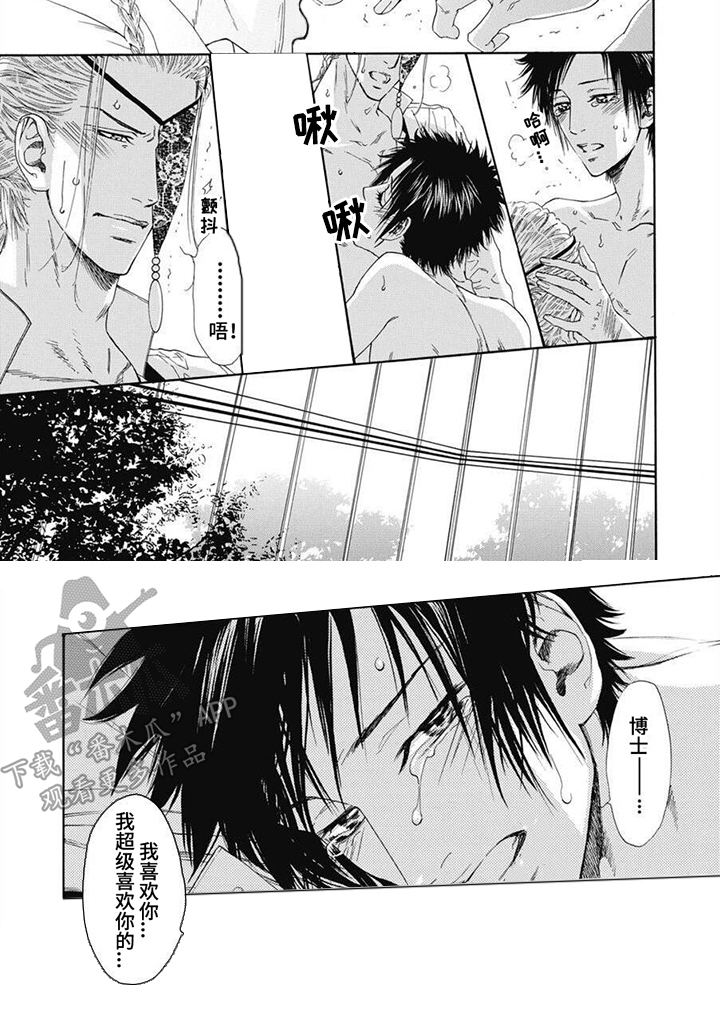 机械博士漫画,第13章：表白1图