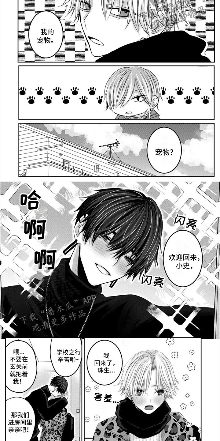 宠物爱人漫画,第9话2图