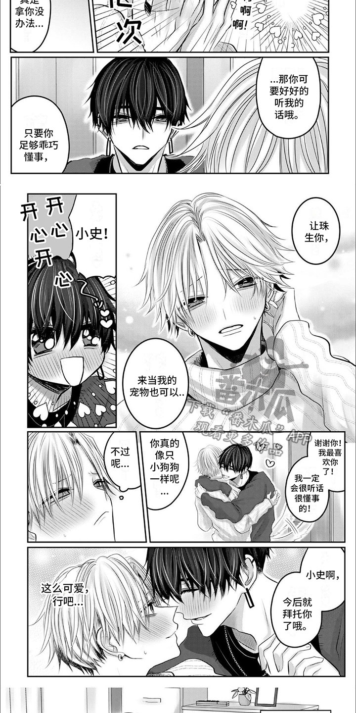 宠物爱好者个性签名漫画,第4话1图