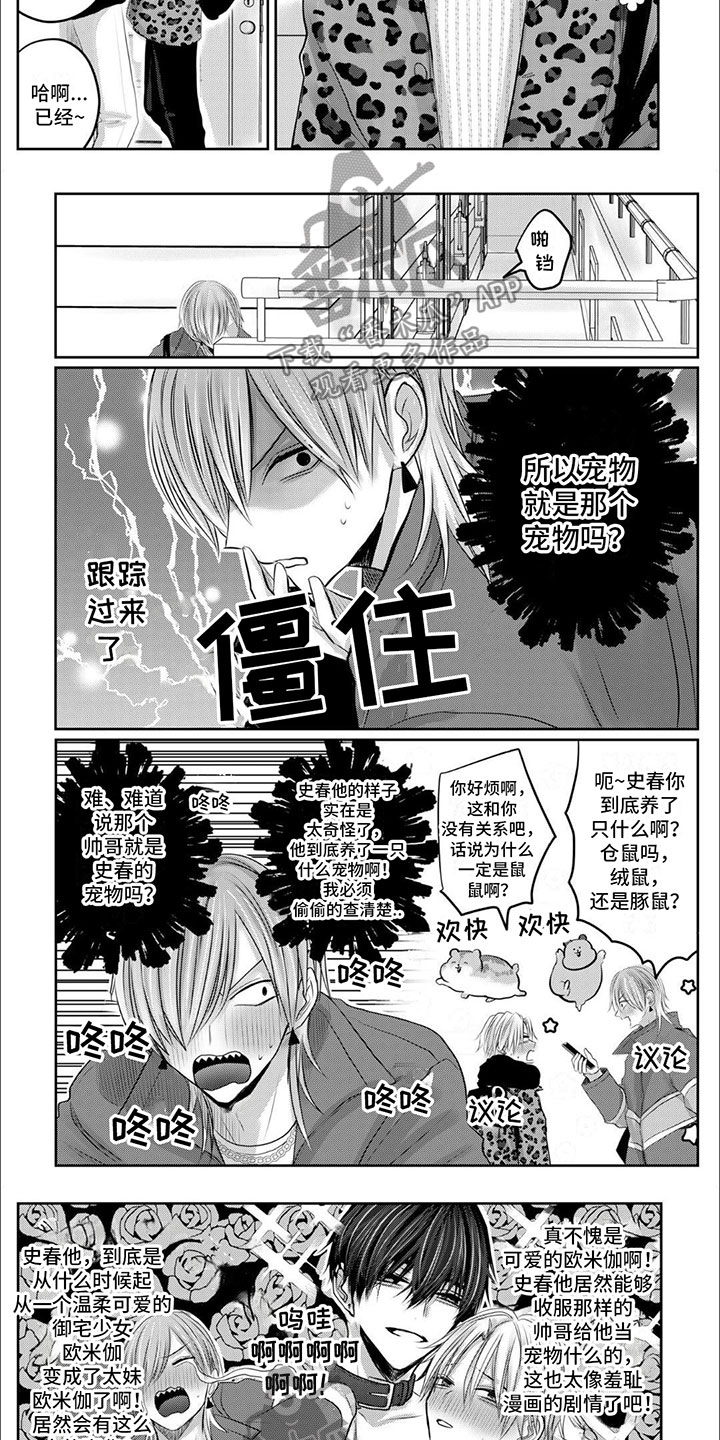 宠物爱人漫画,第9话1图