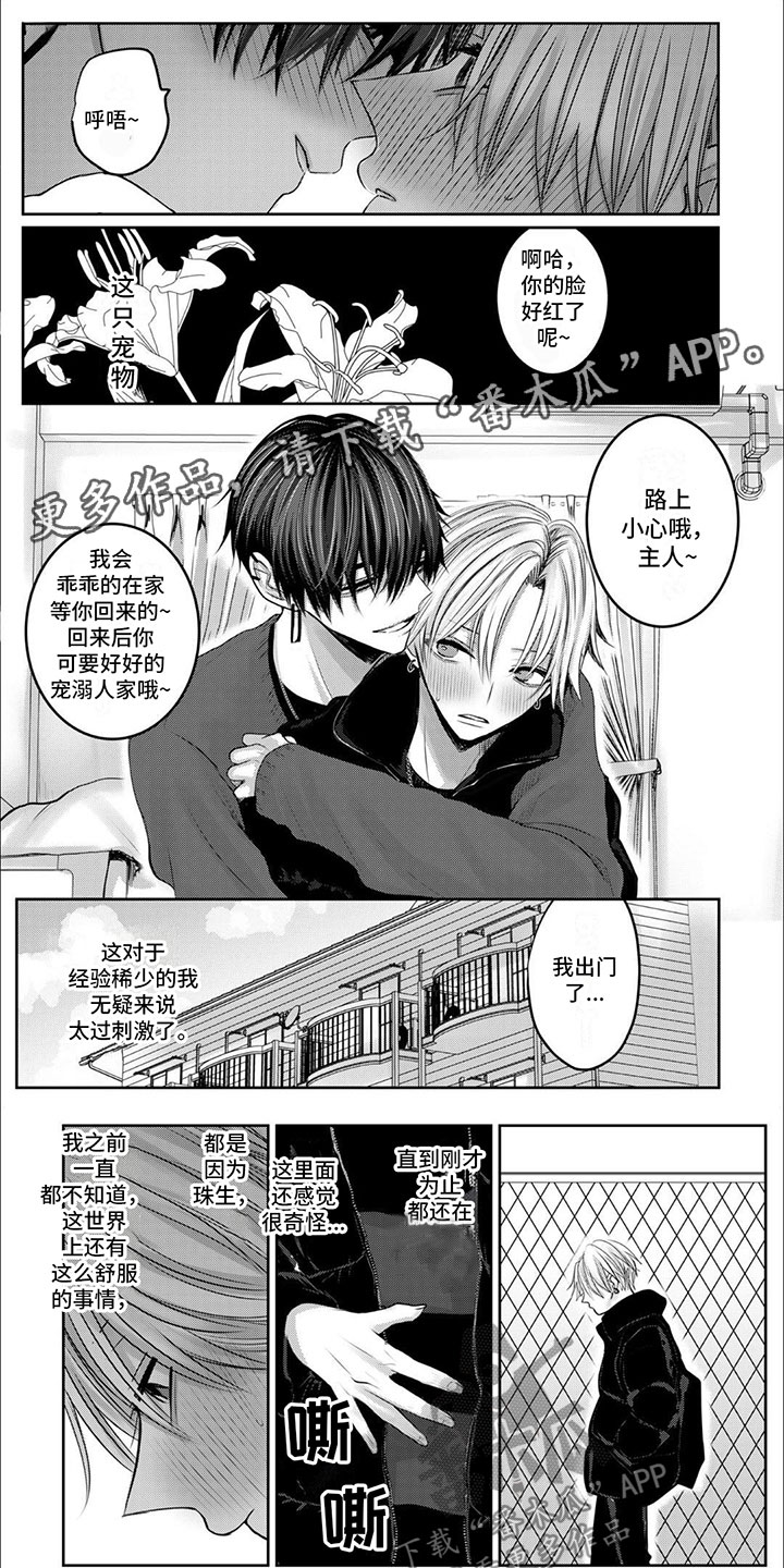 宠物爱好者愿意花多少消费漫画,第6章：藏了什么1图