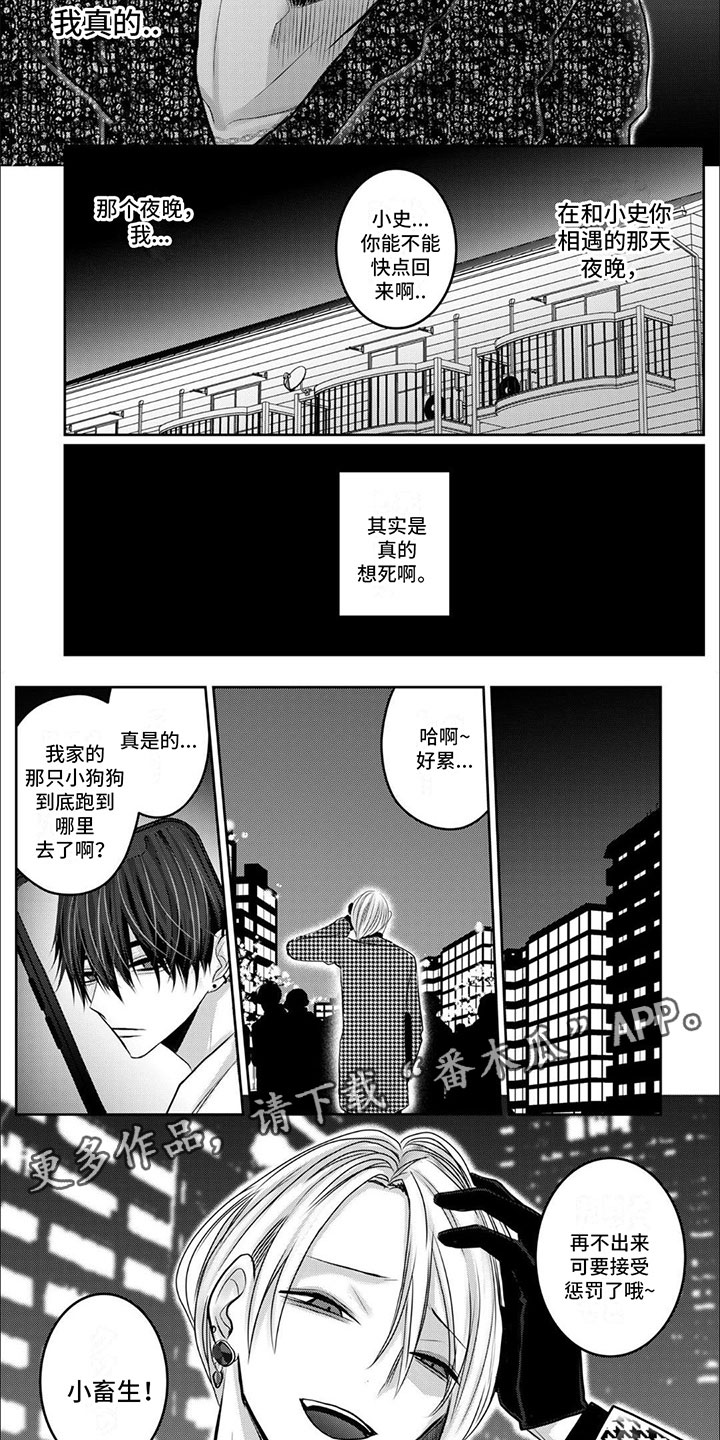 宠物爱人动漫漫画,第11话1图