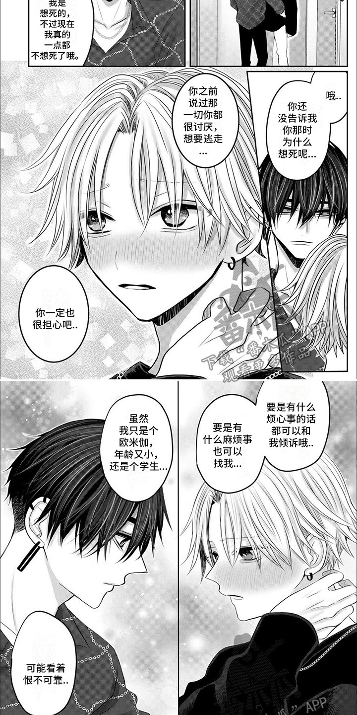 宠物爱好者愿意花多少消费漫画,第15话2图