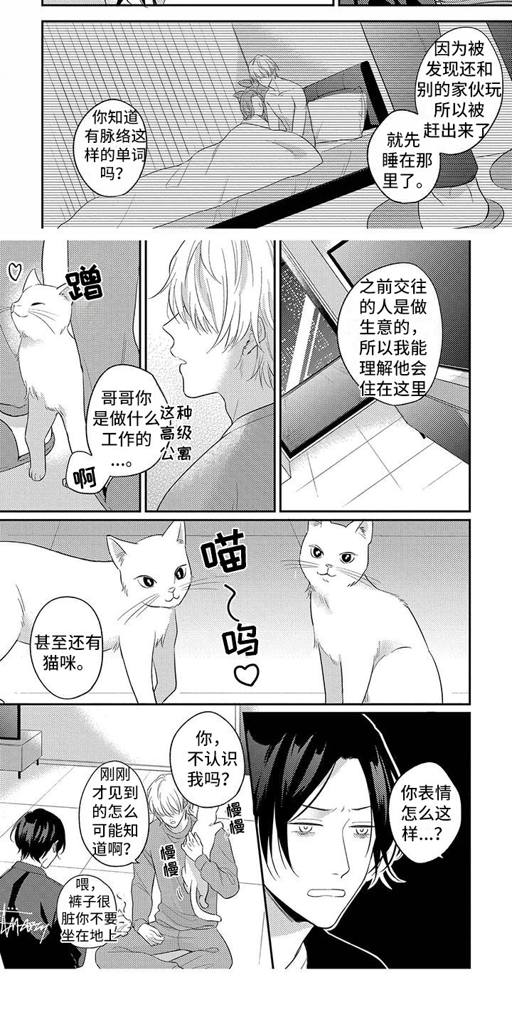 恋爱冒险故事下载漫画,第1章：捡回家2图