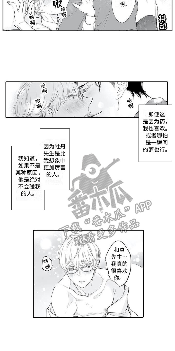 完美男人是什么标准漫画,第14章：调整口味1图