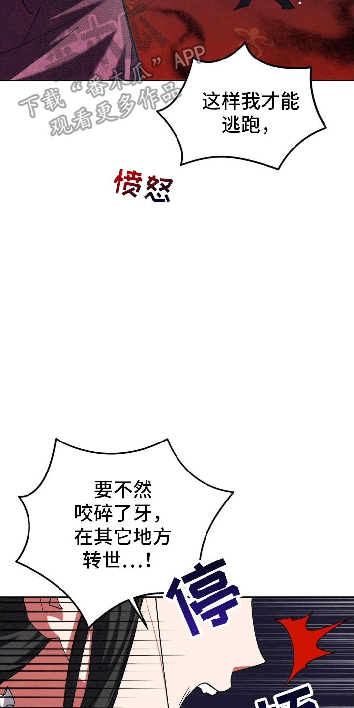 穿越小说排行榜前十名漫画,第5章：执政官1图