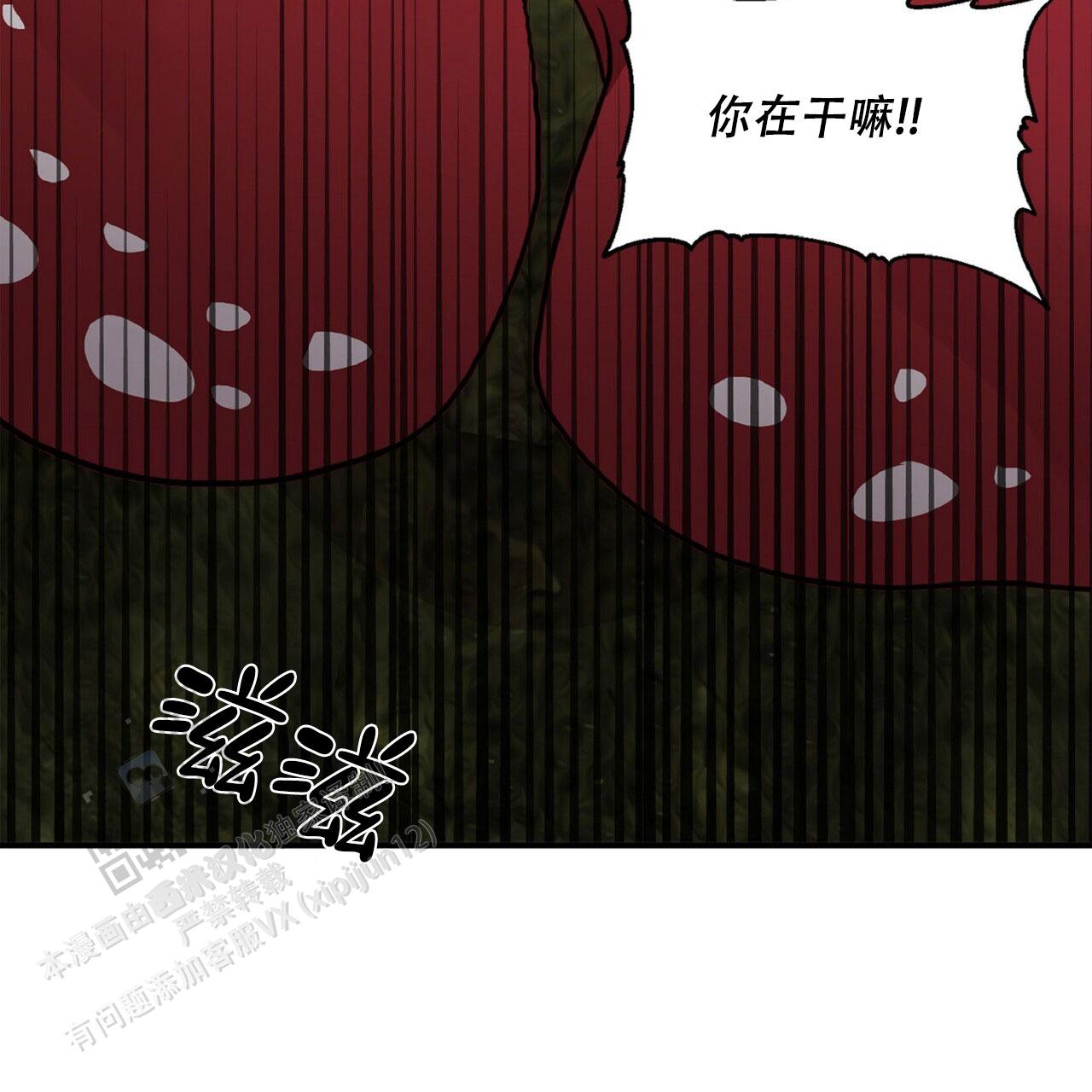 马铃薯国王漫画,第10话1图