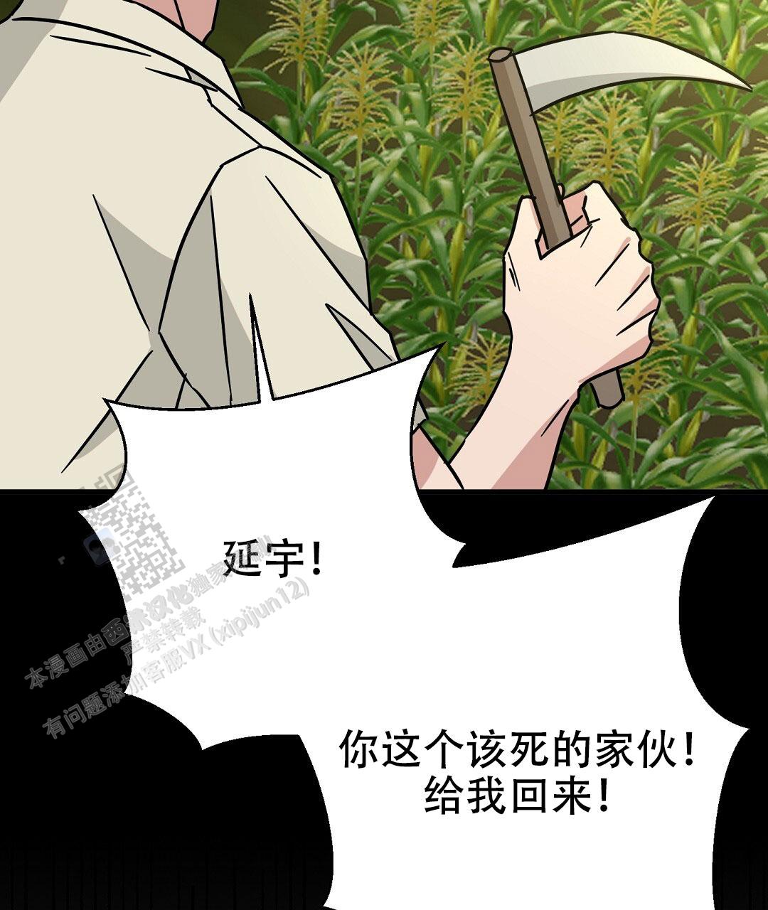 特别节日鲜花推荐漫画,第9话1图
