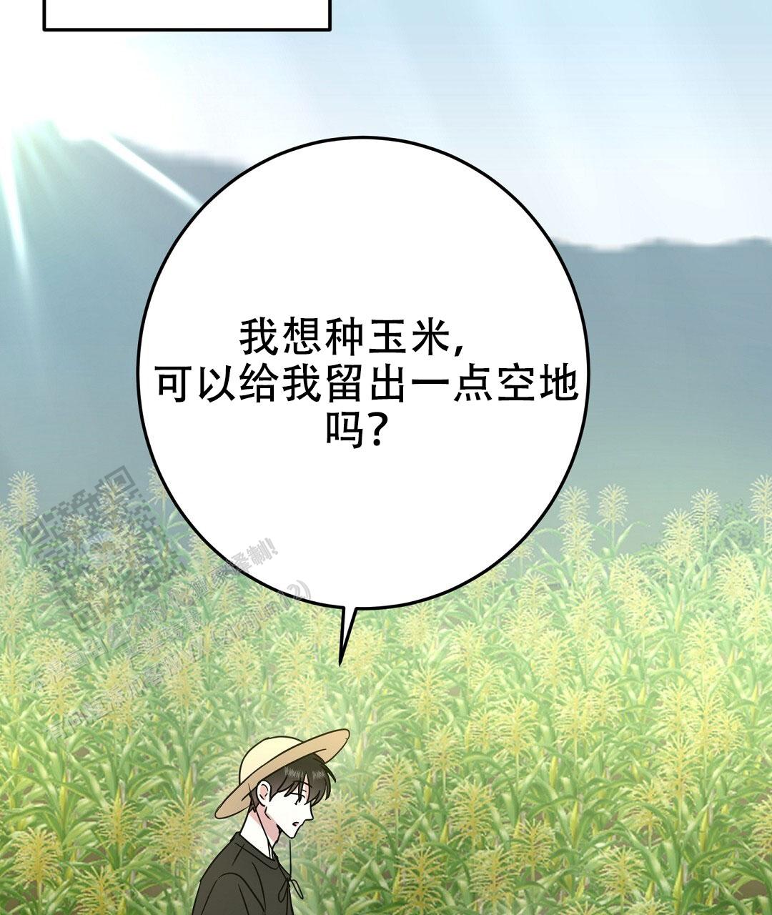 特别节目柳岩漫画,第9话1图