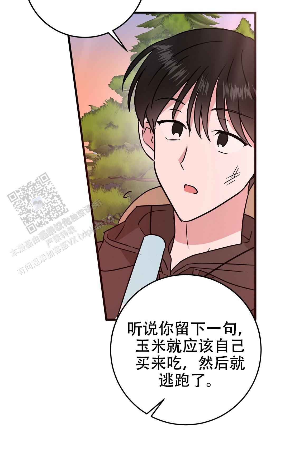 特别节日鲜花推荐漫画,第10话2图