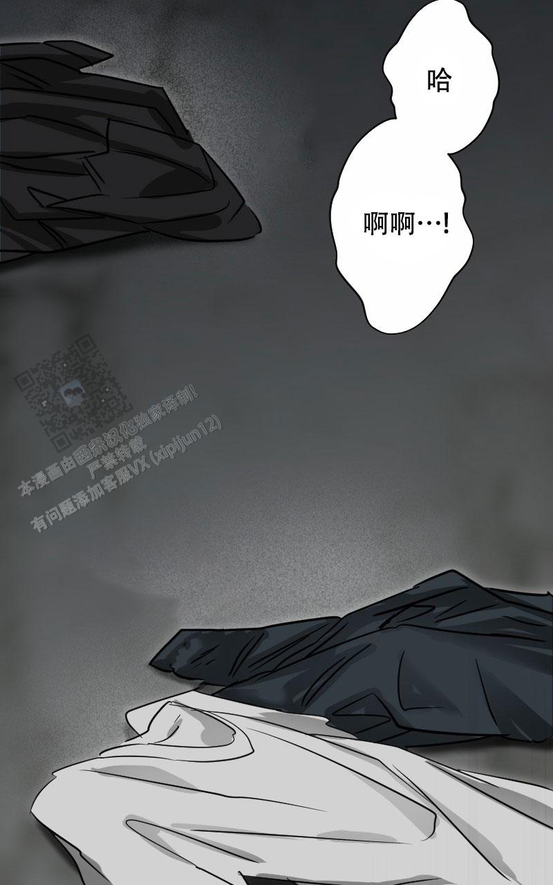 山参的功效与作用禁忌漫画,第5话2图