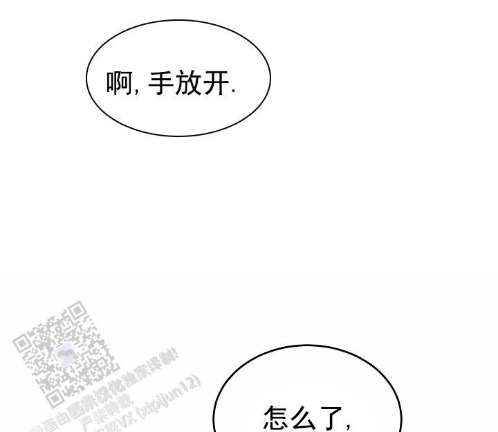 狗和鸟可以混养吗漫画,第17话1图