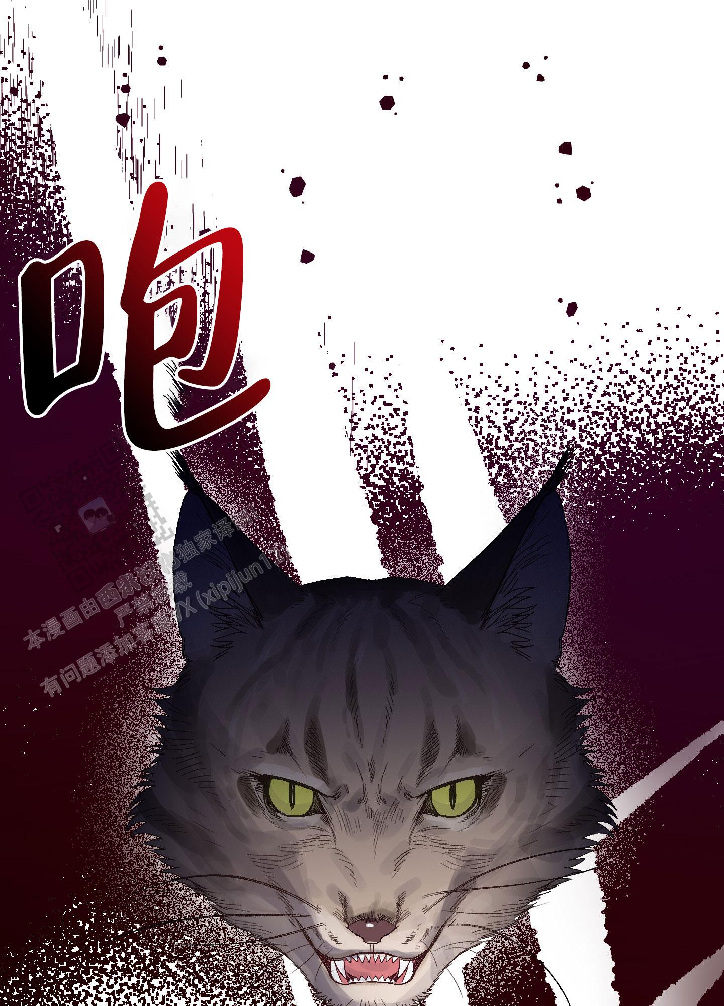 兔子与羊属相合不合漫画,第4话1图