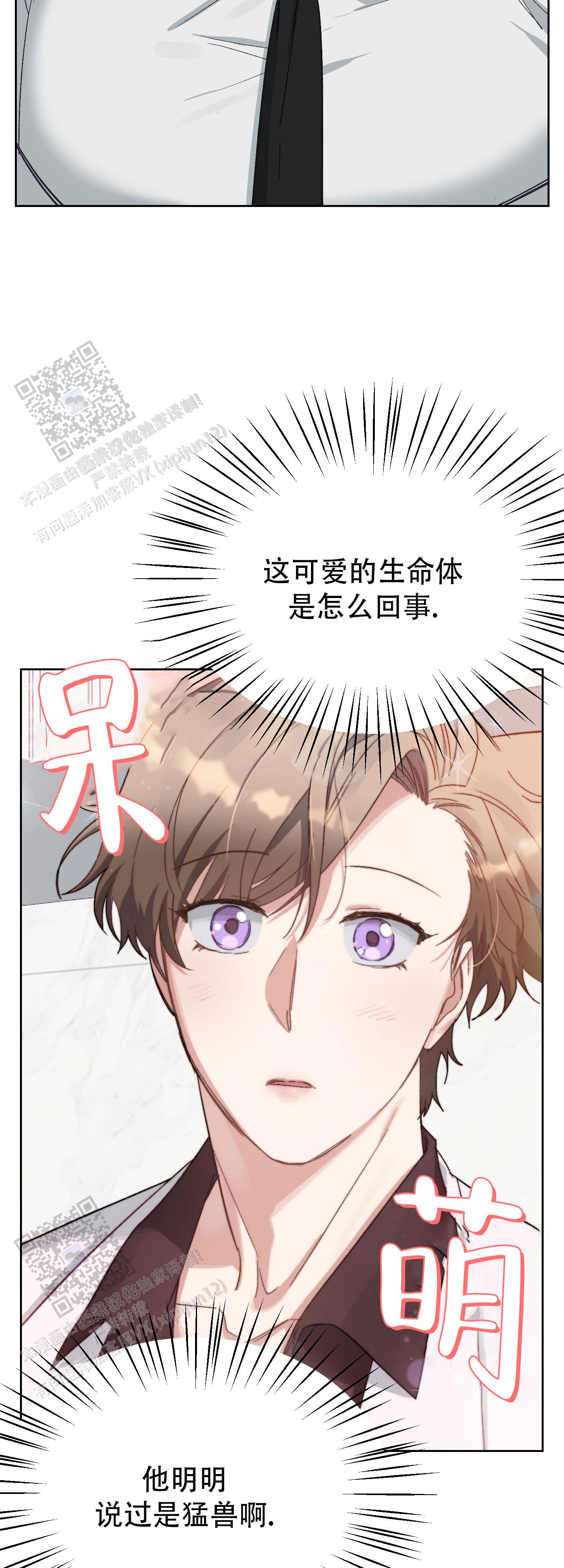 兔子与羊属相合不合漫画,第4话2图