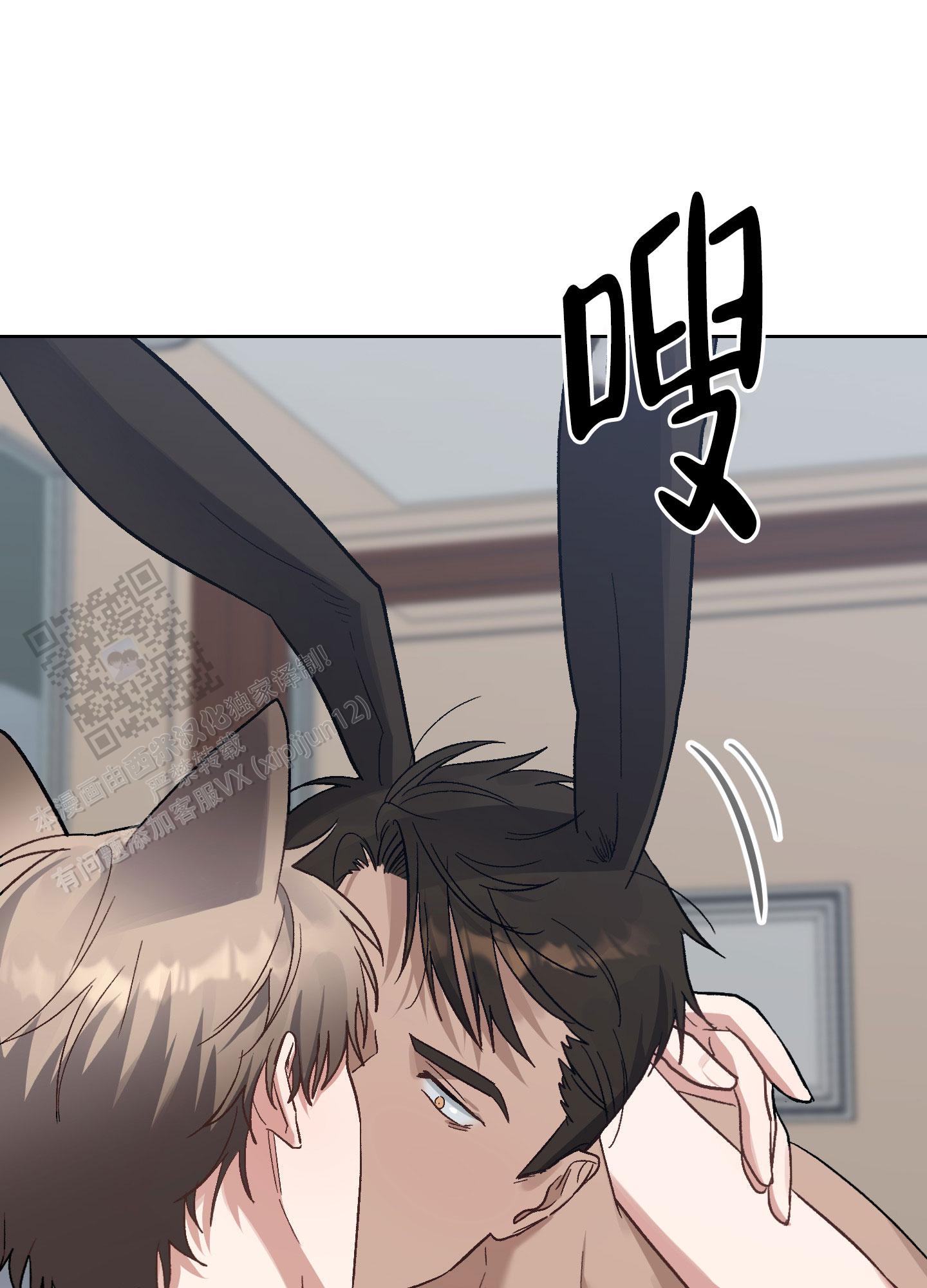 兔子与猫漫画,第8话1图