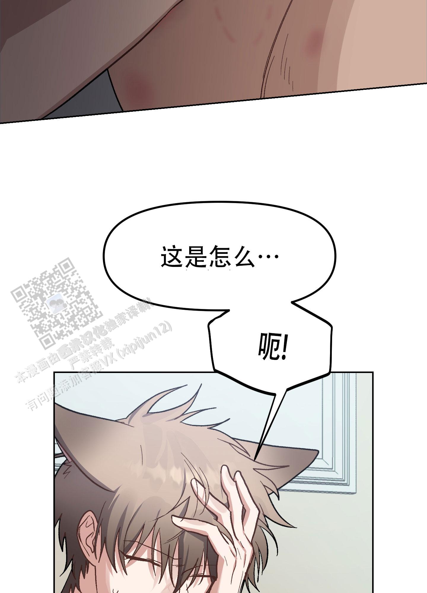 兔子与猫打架的关系漫画,第9话1图