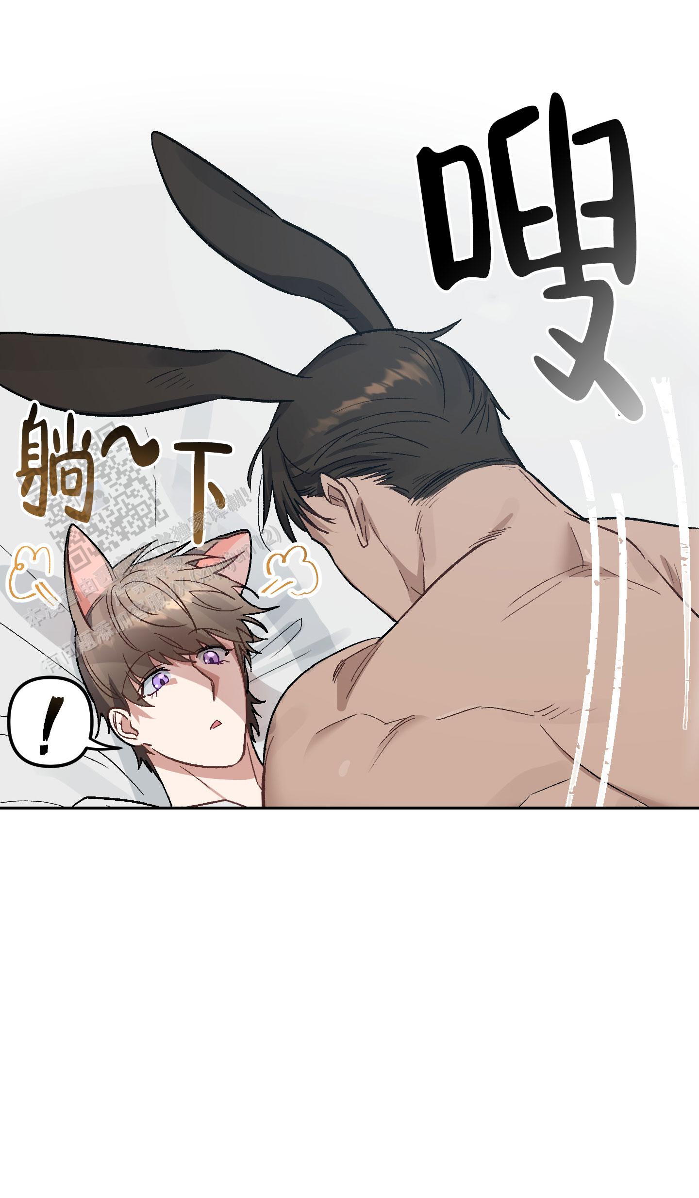 兔子与猫相处漫画,第8话2图