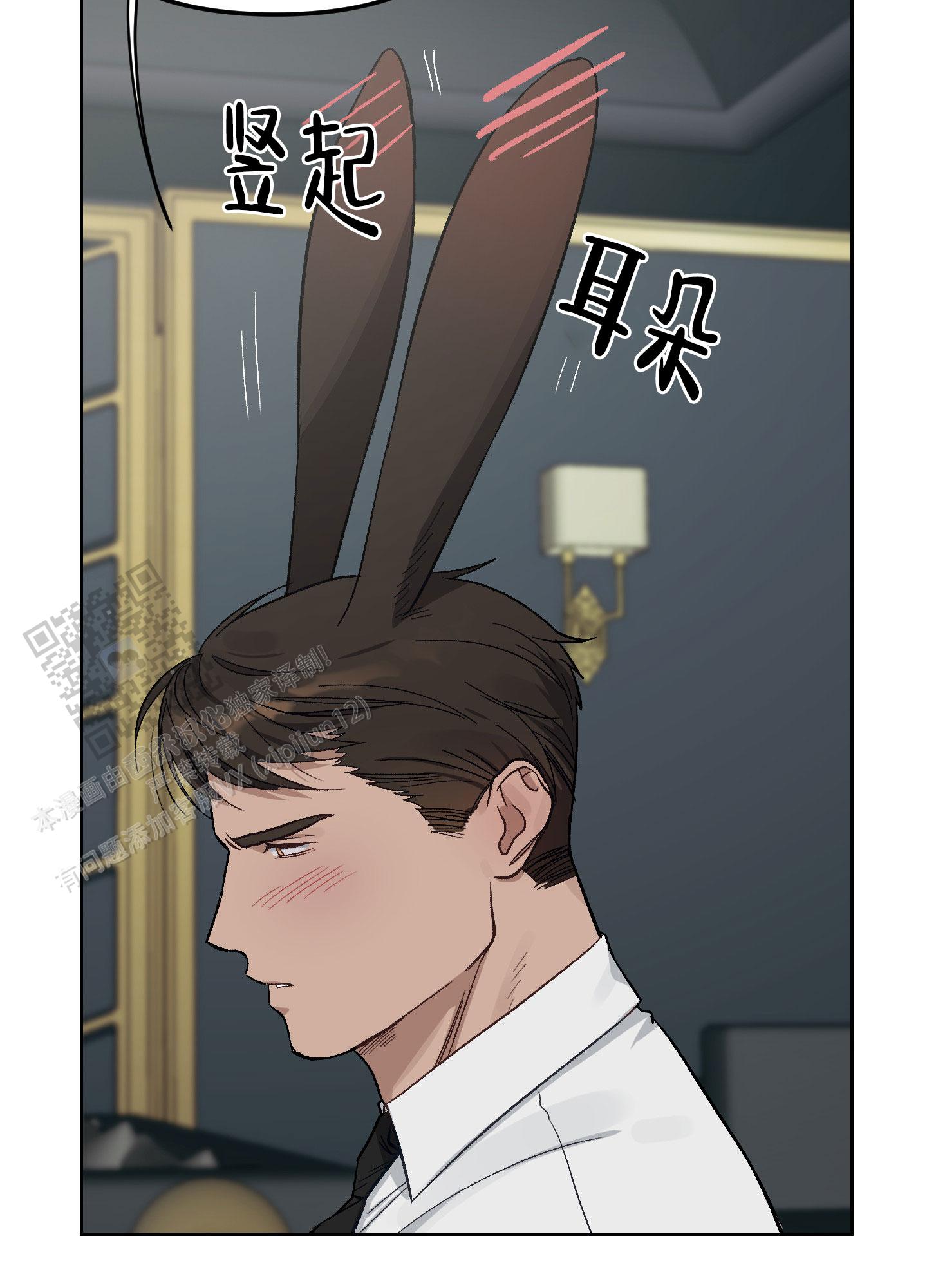 兔子与猫漫画,第4话2图