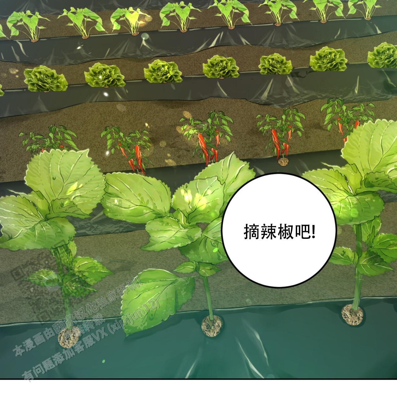 温柔的森林漫画,第7话2图