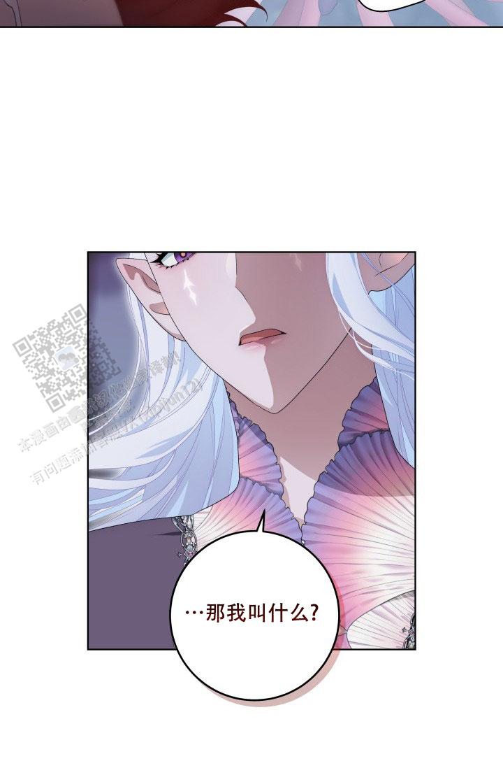 猛禽皮卡多少钱一台漫画,第29话2图