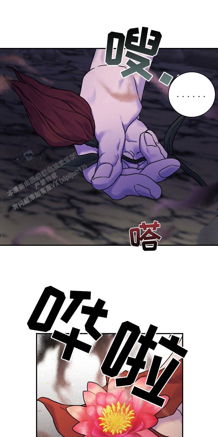 生命之花的图片漫画,第29话1图